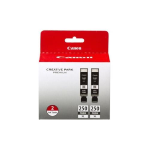 PGI-250XL PGBK Twin Ink Value Pack – Inkjets | Canon