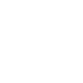 Vonex